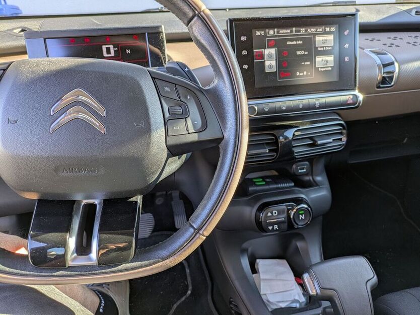C4 Cactus