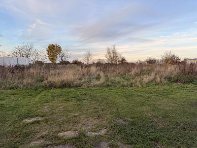 BAUEN MIT WEITBLICK  SELTENE TOP-HANGLAGE - Grundstück Langenberg | Angebot:25166976