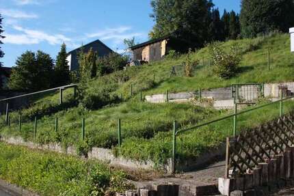 Grundstück Weitefeld - 40.000&euro; | Angebot:25203735