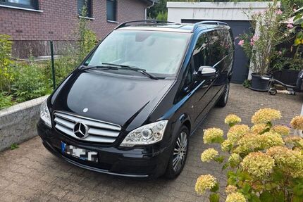 Mercedes Viano