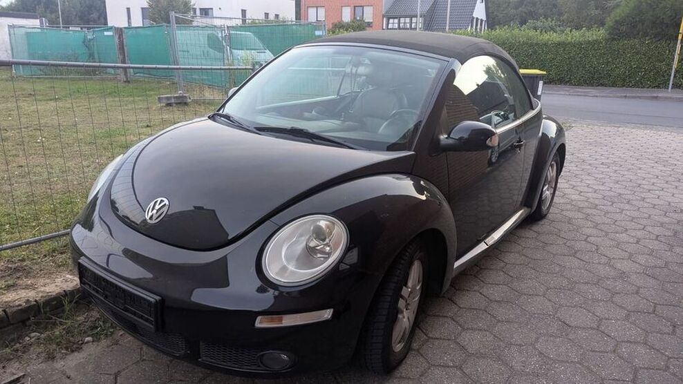 Beetle