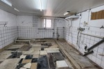 Helles Einfamilienhaus mit Potential nahe idyllischer Weinstraße und gefragter Metropolregion
