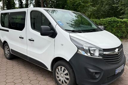 Opel Vivaro 141.000 km 15.500 € Wipshausen 31234