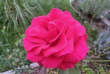 Haus Neresheim - 8 Zimmer, 140 m&sup2;, 359.000&euro; | Angebot:22900585