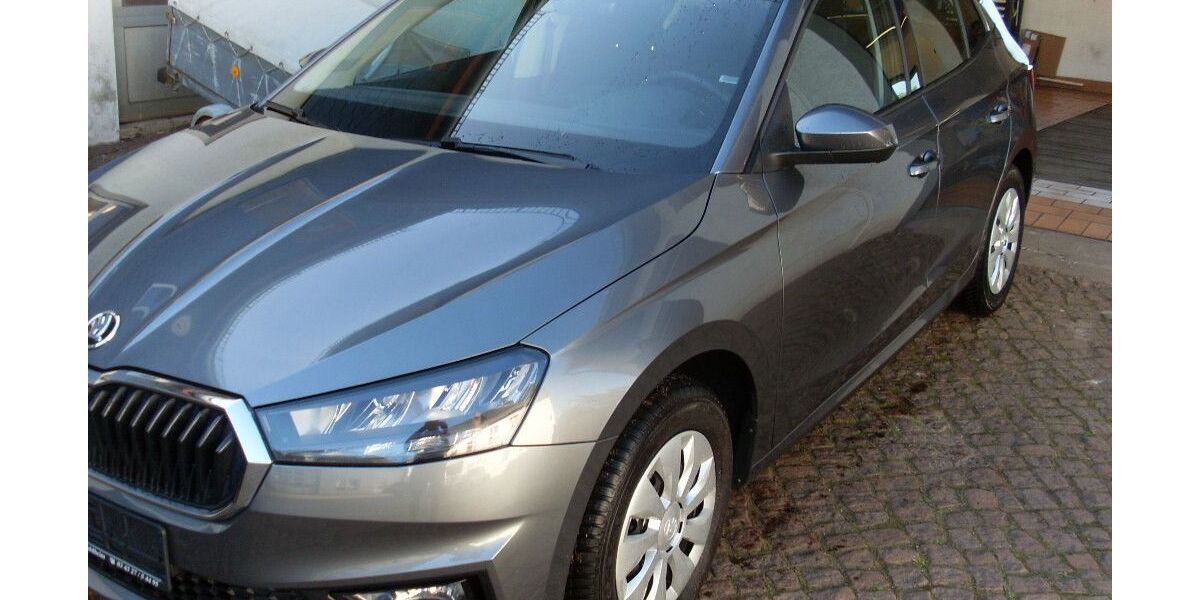Skoda Fabia 42.300 km 15.450 &euro; Waldheim 04736