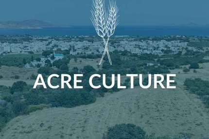 Grundstück Kos - 70.000&euro; | Angebot:26008770