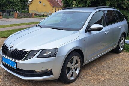 Skoda Octavia 220.300 km 11.600 &euro; Burow 17089