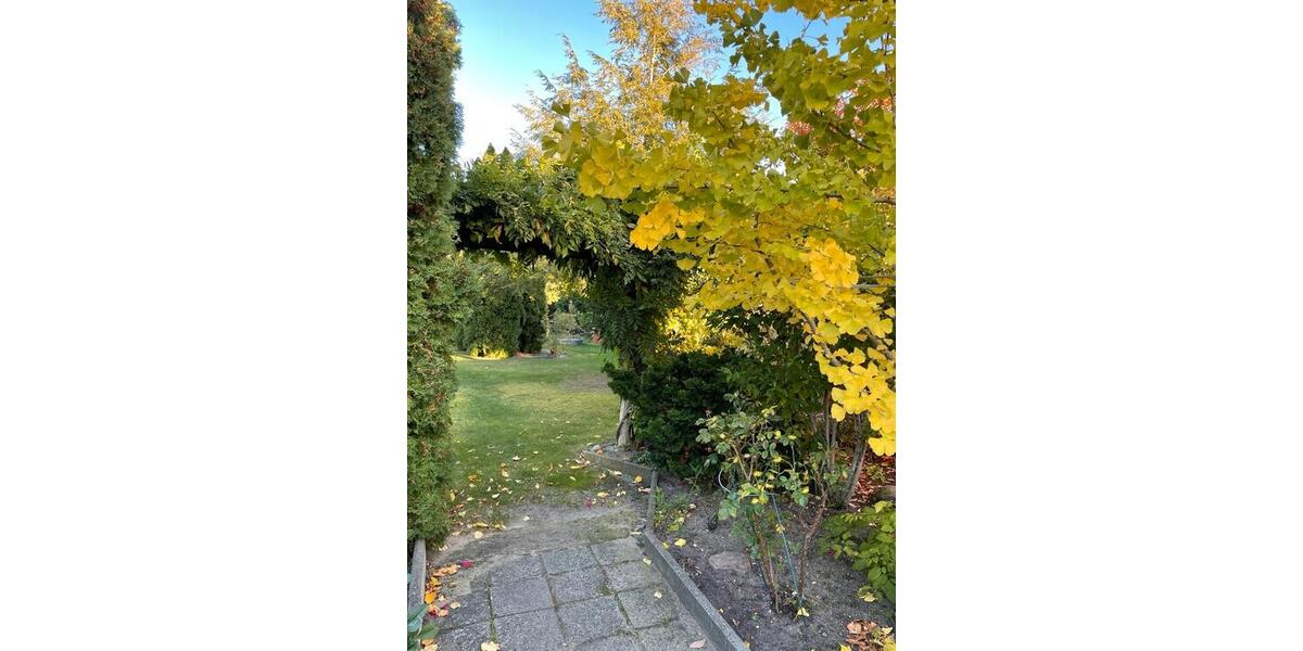 Einfamilienhaus Wittenberg Lutherstadt Reinsdorf - 259.000&euro; | Angebot:27027655