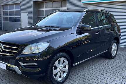 Mercedes-Benz ML 250 189.000 km 21.900 € Cloppenburg 49661