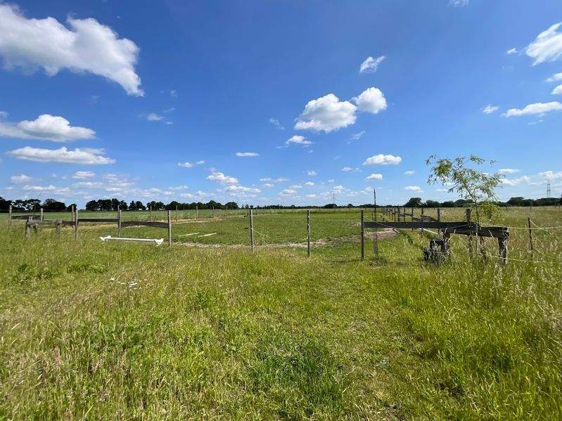 Einfamilienhaus Edemissen Voigtholz-Ahlemissen - 5 Zimmer, 230 m&sup2;, 699.000&euro; | Angebot:25691651