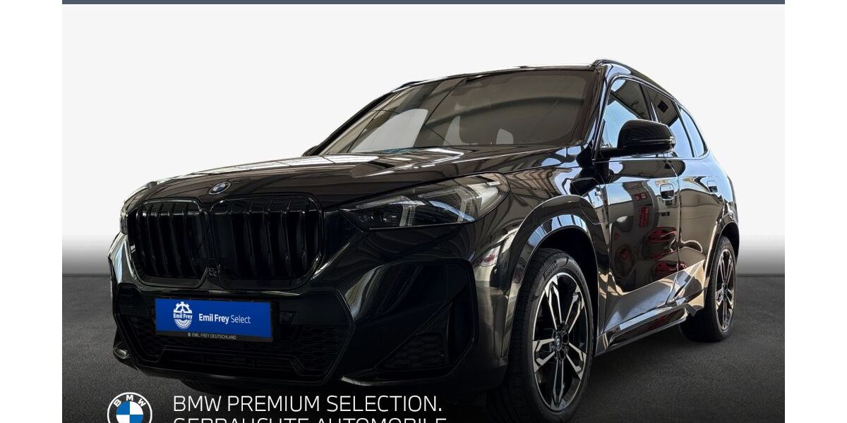 BMW X1 71.734 km 38.760 &euro; Landau 76829