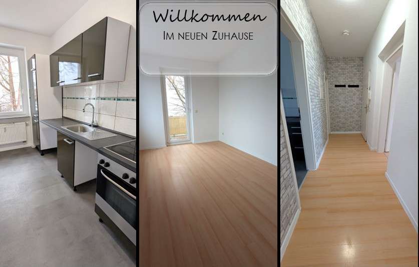 Wohnung zum Mieten in Plauen 355 € 60 m²