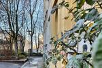 Etagenwohnung Halle (Saale) - 5.5 Zimmer, 170 m&sup2;, 1.530&euro; | Angebot:26412893