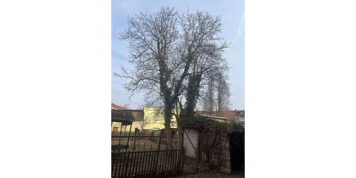 Mehrfamilienhaus, Wohnhaus Naumburg (Saale) Naumburg - 2 Zimmer, 376 m&sup2;, 195.000&euro; | Angebot:26137743