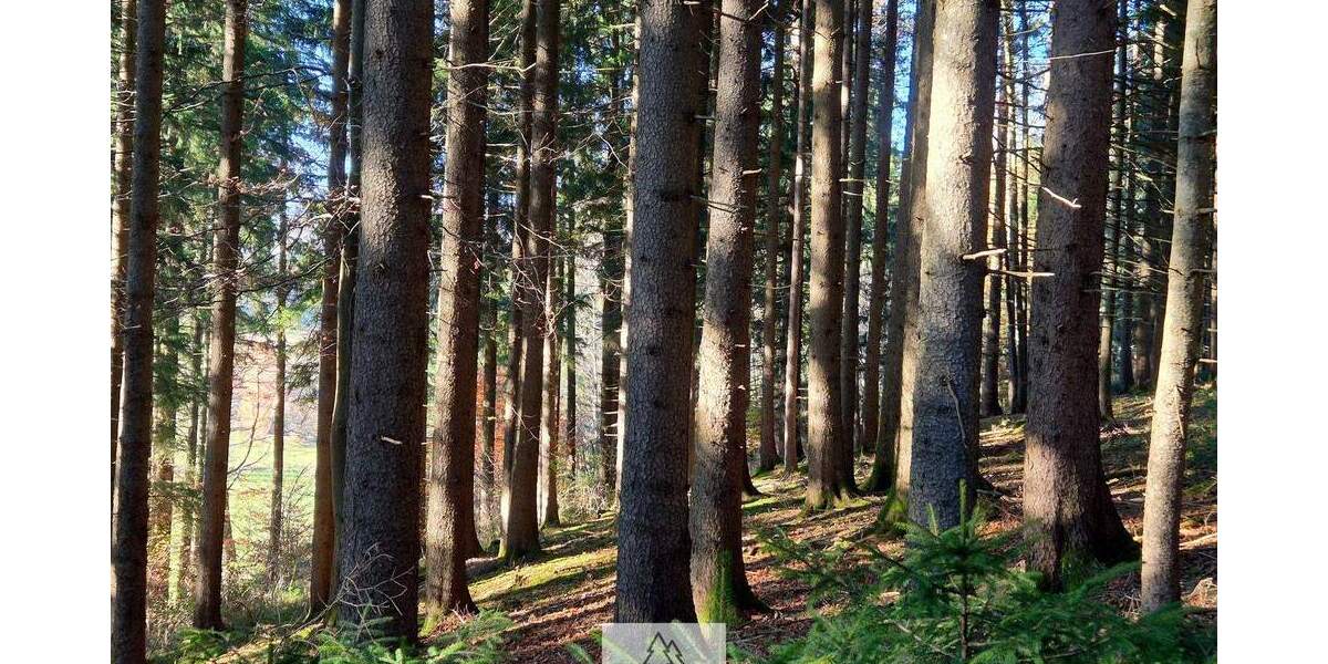 Grundstück Eggenthal Völken - 84.900&euro; | Angebot:25689866