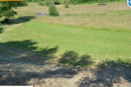 Machen Sie was neues draus - Grundstück für Landwirtschaft oder Freizeit. zimmer