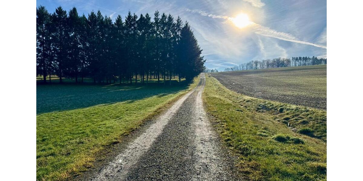 Bungalow Mosbach - 6 Zimmer, 150 m&sup2;, 565.000&euro; | Angebot:26033866