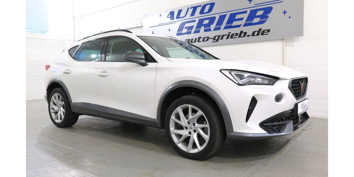 Cupra Formentor 82.800 km 22.950 &euro; Miesitz 07819