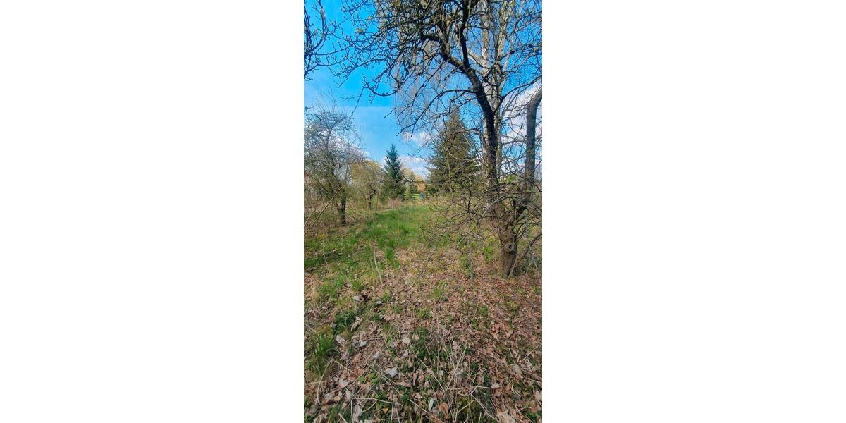 Einfamilienhaus Bad Wilsnack - 30.000&euro; | Angebot:26122946