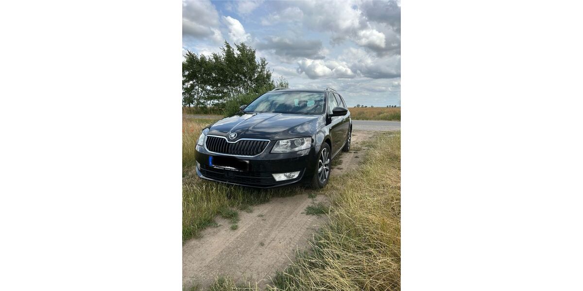Skoda Octavia 222.000 km 8.000 &euro; Altentreptow 17087