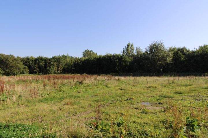 Grundstück Butjadingen / Eckwarden Stollhamm - 116.000&euro; | Angebot:25730026