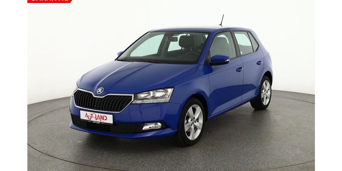 Skoda Fabia 53.228 km 13.490 &euro; Senftenberg 01968