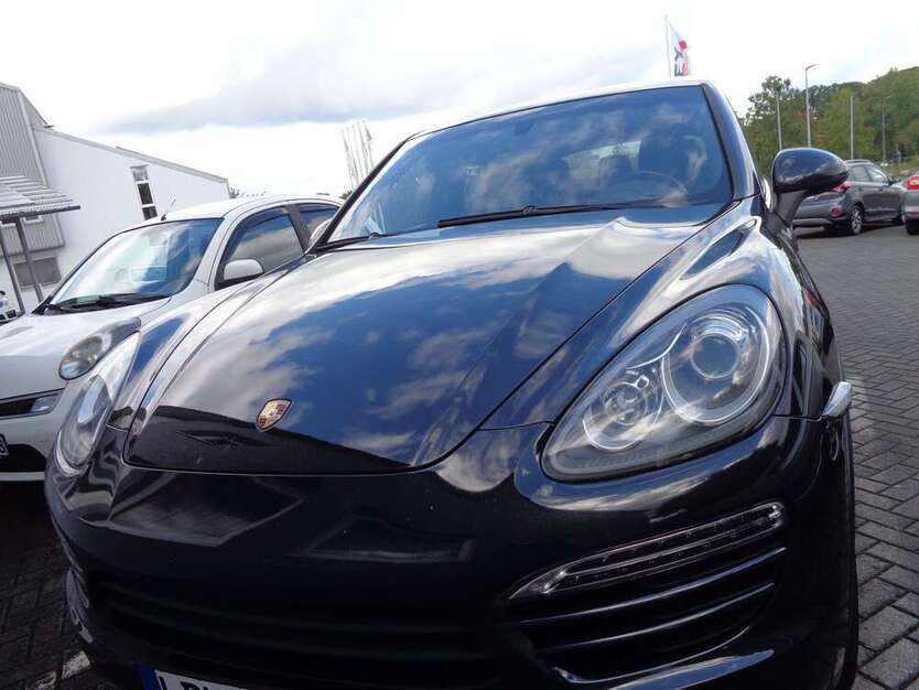 Cayenne