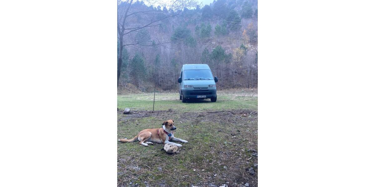 Peugeot Boxer 302.000 km 3.500 &euro; Oberschlettenbach 76889