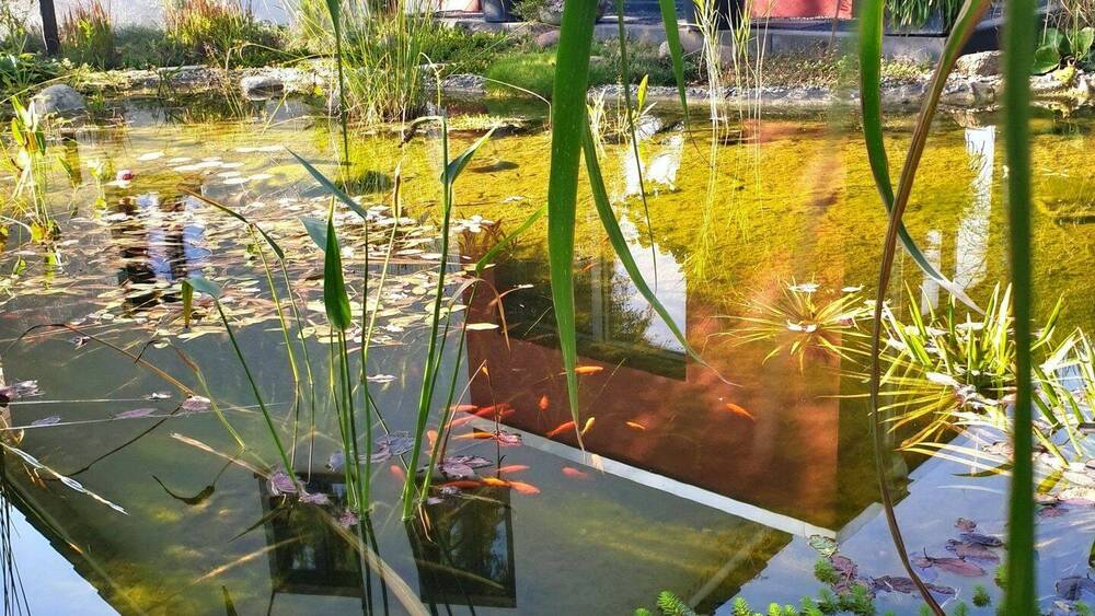 Doppelhaushälfte Lübeck Buntekuh - 4 Zimmer, 124 m&sup2;, 595.000&euro; | Angebot:25198075