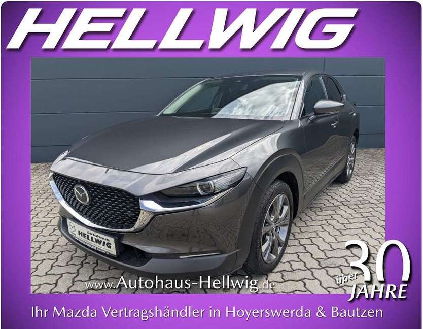 CX-30
