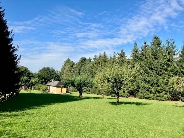 Grundstück Falkenstein - 17.500&euro; | Angebot:26435497