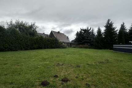 Grundstück zu verkaufen in Klostermansfeld 65.000 € 1500 m² zimmer