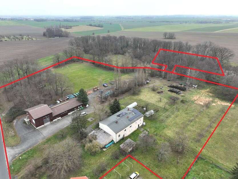 Haus zum Kaufen in Liebschützberg 499.000 € 252 m²