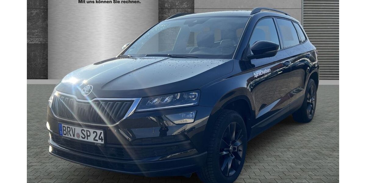 Skoda Karoq 110.000 km 14.890 &euro; Bremervörde 27432