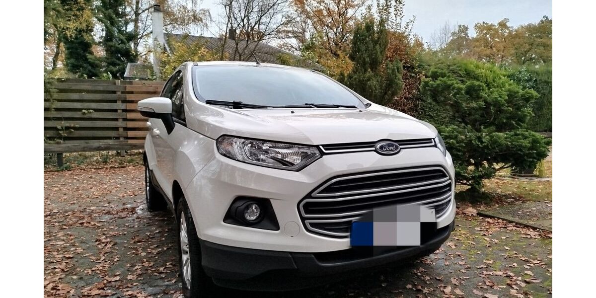 Ford EcoSport 28.500 km 9.900 &euro; Braunschweig 38108