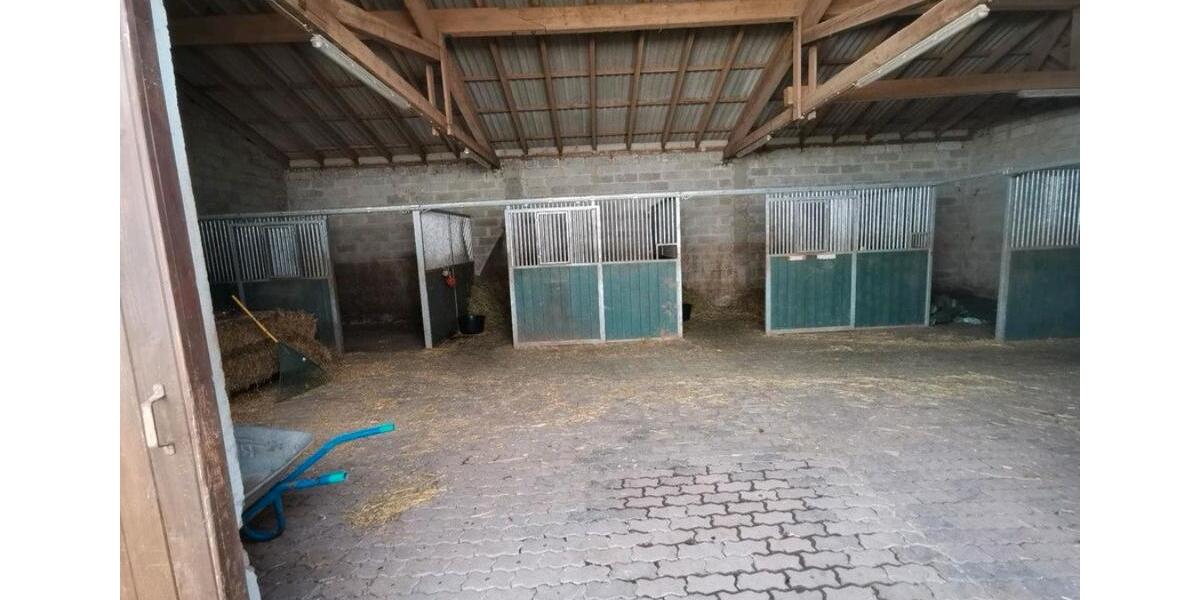Einfamilienhaus Pronsfeld - 498.000&euro; | Angebot:26524524