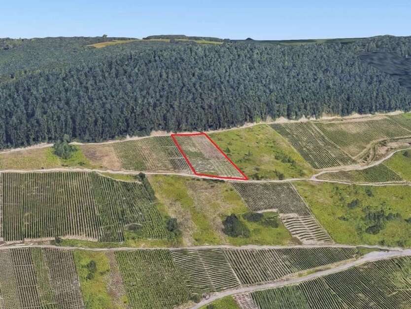 Grundstück zu verkaufen in Zell 10.000 € 2703 m²