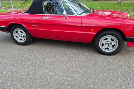 Alfa Romeo Spider 113.200 km 15.400 &euro; Eußerthal 76857