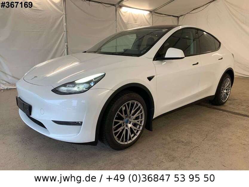 Model Y