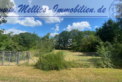 Grundstück Suhlendorf Dalldorf - 29.000&euro; | Angebot:19281222