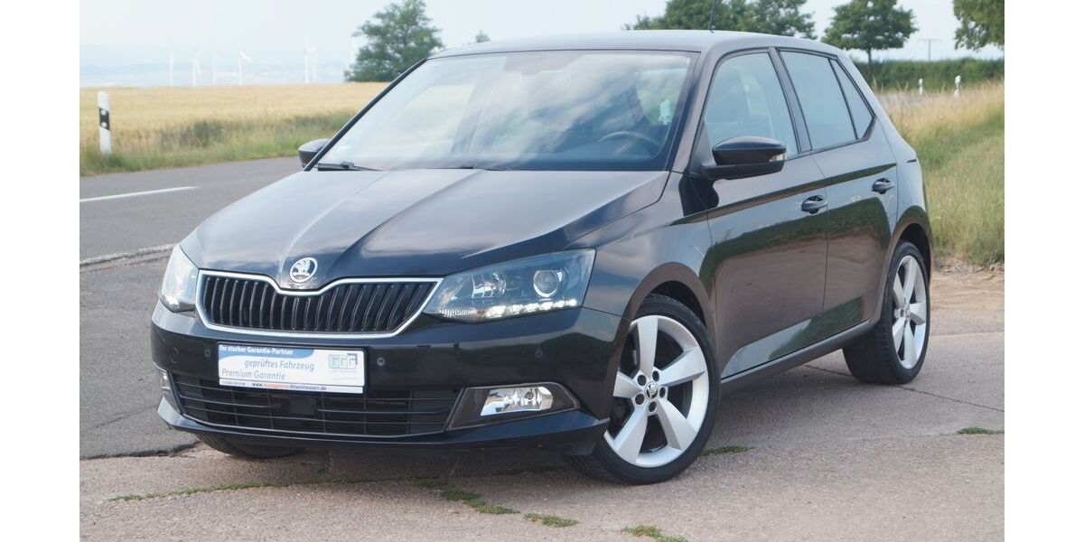 Skoda Fabia 79.350 km 9.890 &euro; Bechenheim 55234
