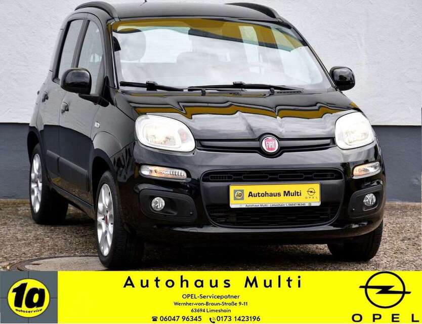 Panda