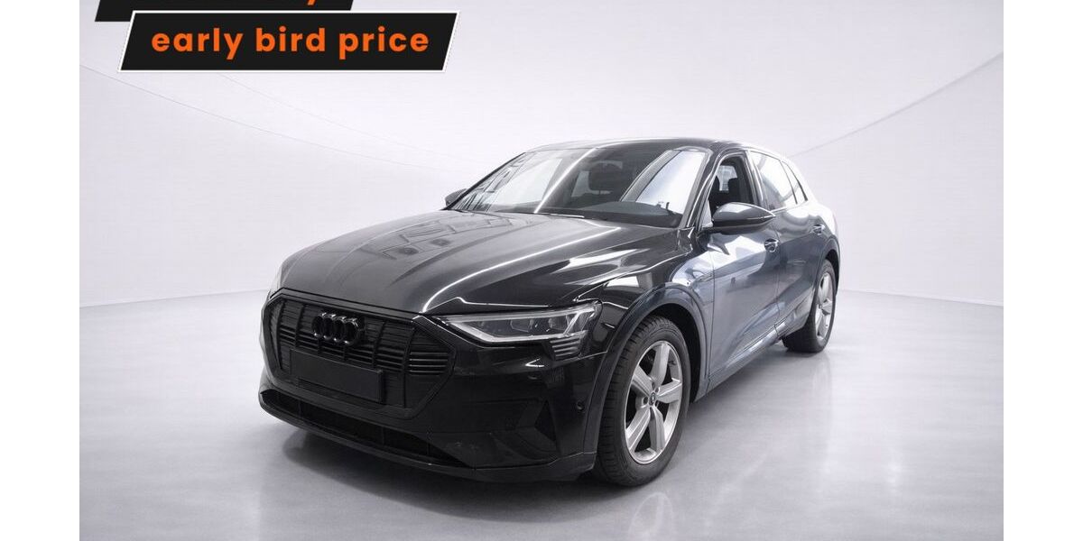 Audi e-tron 33.646 km 29.699 &euro; Ergolding 84030