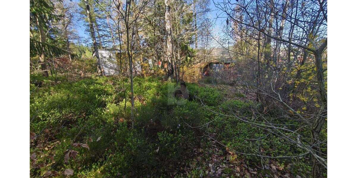 Grundstück Luisenthal - 16.900&euro; | Angebot:26497175