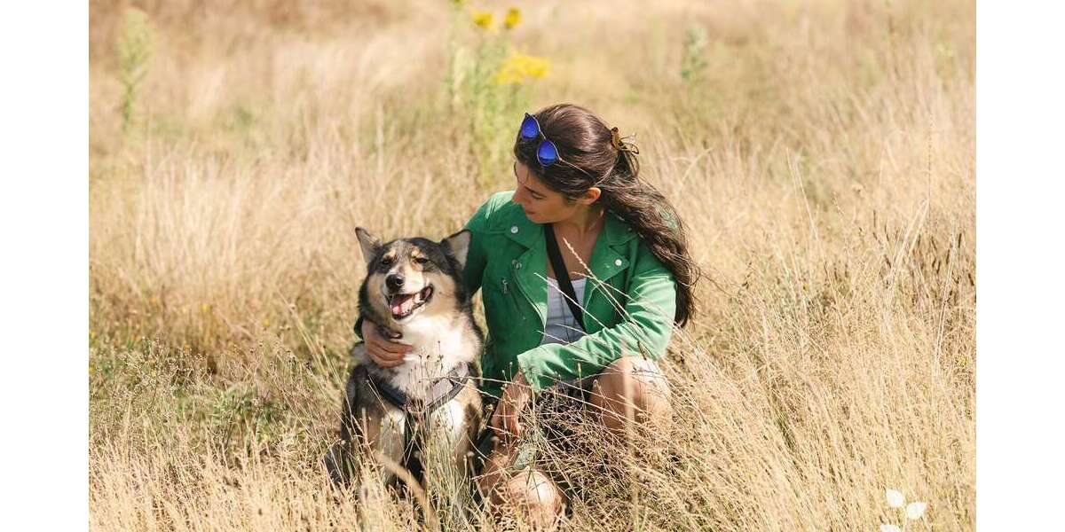 Grundstück zu verkaufen in Großröhrsdorf 154.900 € 779 m² zimmer