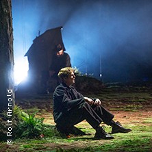 Das kalte Herz 28.12.2025 Schauspiel Leipzig