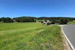Grundstück Waidhaus - 100.000&euro; | Angebot:25697462