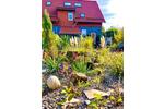 Mehrfamilienhaus, Wohnhaus Wernigerode - 8 Zimmer, 222 m&sup2;, 795.000&euro; | Angebot:26413278
