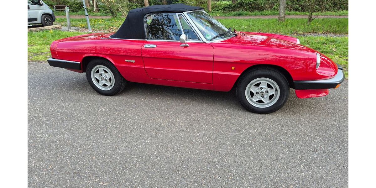 Alfa Romeo Spider 113.200 km 16.900 &euro; Eußerthal 76857
