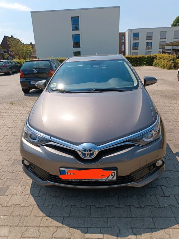 Auris